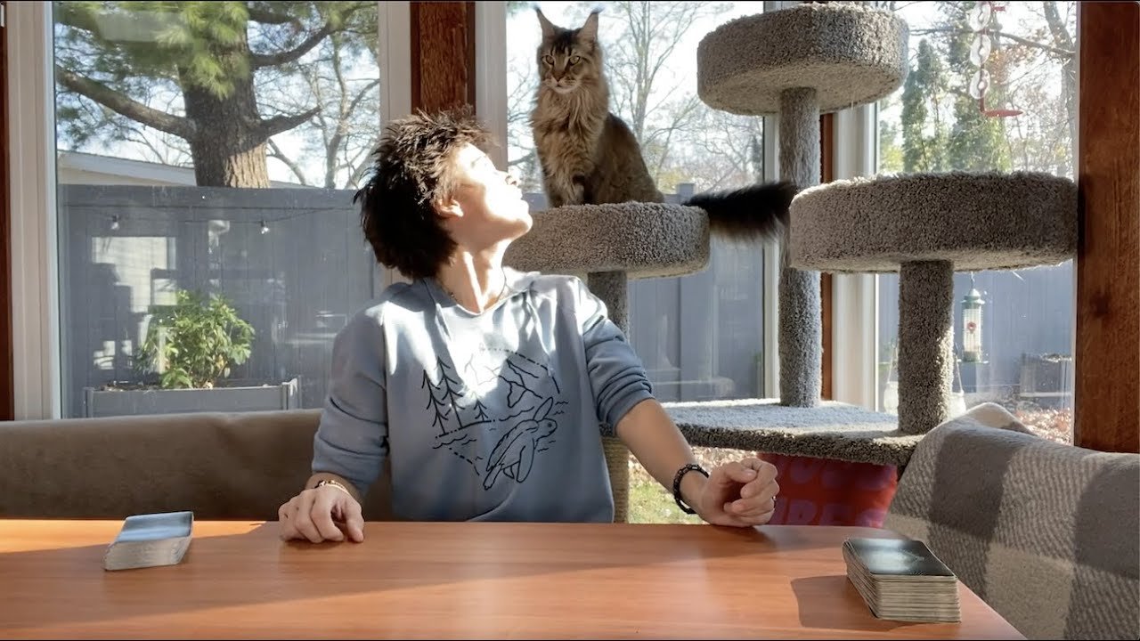 Leia mais sobre o artigo ALL SIGNS – CURRENT ENERGIES CHECK IN,No Clarification (Weekend NOVEMBER 11TH – 13TH)