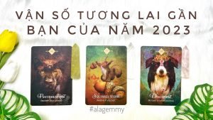 Leia mais sobre o artigo BẠN SẼ THẾ NÀO TRONG NĂM 2023 🤔🌼Tarot🌈🦋