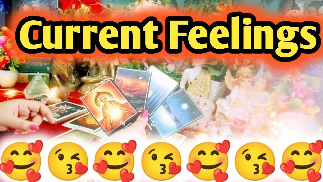 Leia mais sobre o artigo Current Feelings Next Action With Angel Guidance 💞🌹💞 All Signs Collective Timeless Tarot Reading