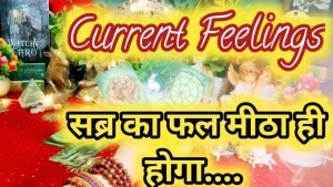 Leia mais sobre o artigo Current Feelings Next Action With Angel Guidance 💚❤ All Signs Collective Timeless Tarot Reading