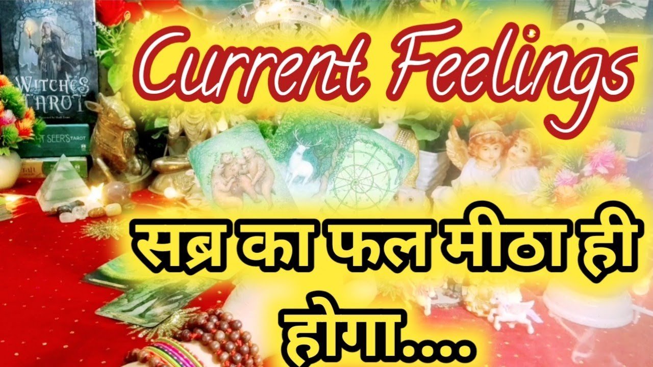 Leia mais sobre o artigo Current Feelings Next Action With Angel Guidance 💚❤ All Signs Collective Timeless Tarot Reading