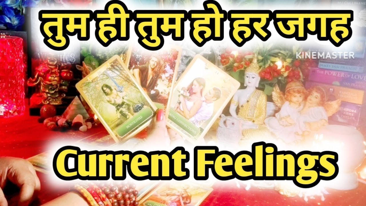 Leia mais sobre o artigo Current Feelings Next Action With Angel Guidance ✨❤✨ All Signs Collective Timeless Tarot Reading 🌈