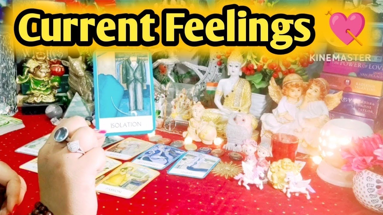 Leia mais sobre o artigo Current Feelings Next Action With Angel Guidance 💞🌹💞 All Signs Collective Timeless Tarot Reading