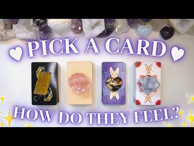 Leia mais sobre o artigo How They Truly Feel About You 🌹✨ Detailed Pick a Card Tarot Reading 💕