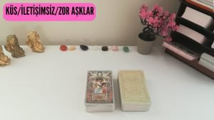 Leia mais sobre o artigo Küs/İletişimsiz/Zor Aşklar❣️Tarot🙏