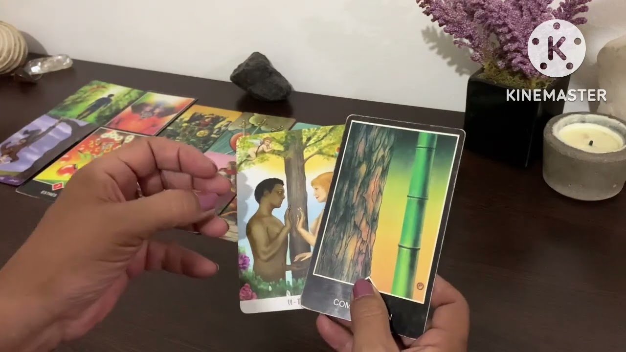 No momento, você está visualizando LA FAMILIA DE TU EX O TU EX HABLA DE VOS ?🤔#tarot #amor #interactivo
