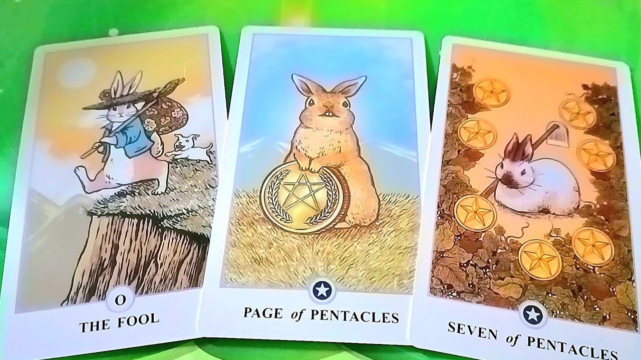 No momento, você está visualizando NHỮNG LINH CẢM CỦA BẠN VỀ HỌ LÀ ĐÚNG HAY SAI/ TAROT READING