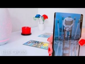 Leia mais sobre o artigo SE DESESPERA POR DESEAR ESTAR CONTIGO! SE HA LLEVADO UNA GRAN LECCIÓN!