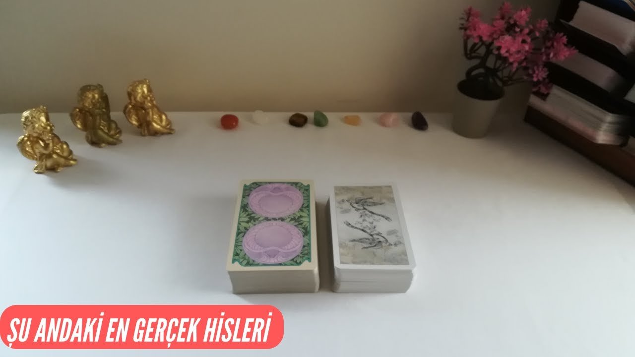 No momento, você está visualizando Şu Andaki En Gerçek Hisleri♥️Tarot
