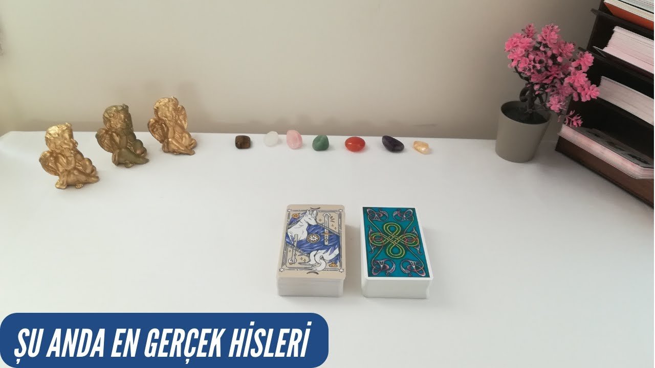 No momento, você está visualizando Tam Şu Andaki En Gerçek Hisleri🔥💕 Tarot