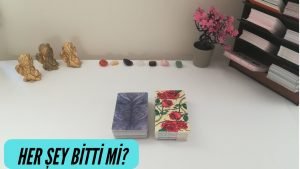 Leia mais sobre o artigo Tamam mı Devam mı?💔🙏Her Şey Bitti mi? Tarot