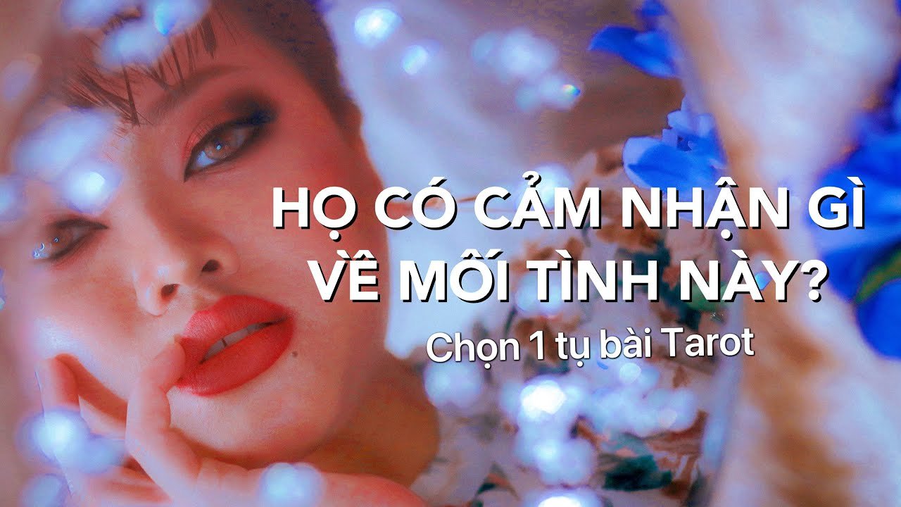 No momento, você está visualizando Cảm Giác Lúc Này Của Họ Sẽ Ra Sao? | Sóc Tarot Series ✔️