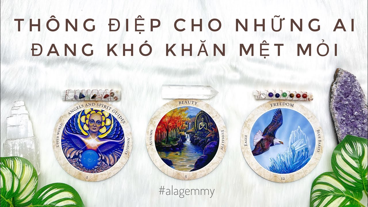 Leia mais sobre o artigo CHẤM DỨT PHIỀN MUỘN MỎI MỆT BẠN NHÉ !!🦋🌞Tarot✨🍀 THIS MESSAGE WILL STOP YOUR ANXIETIES