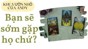 Leia mais sobre o artigo Chọn 1 tụ bài Tarot – Bạn sẽ sớm gặp họ chứ? – Alo Andy