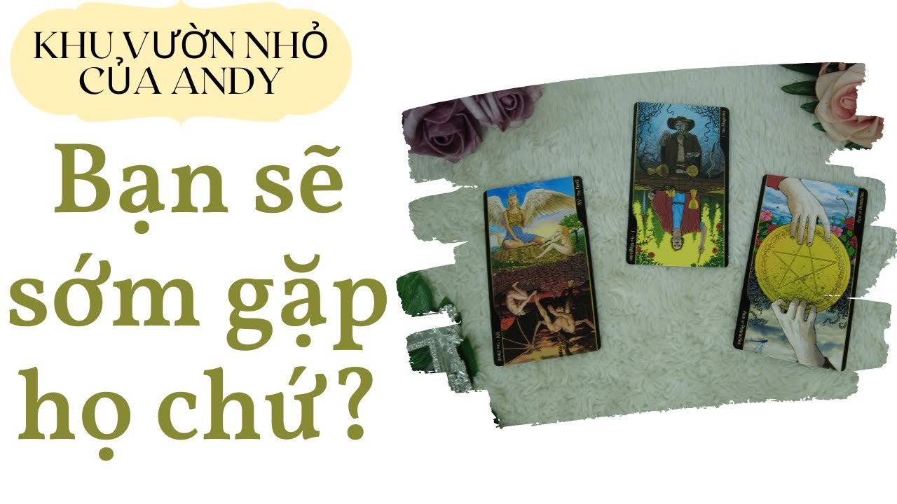 No momento, você está visualizando Chọn 1 tụ bài Tarot – Bạn sẽ sớm gặp họ chứ? – Alo Andy