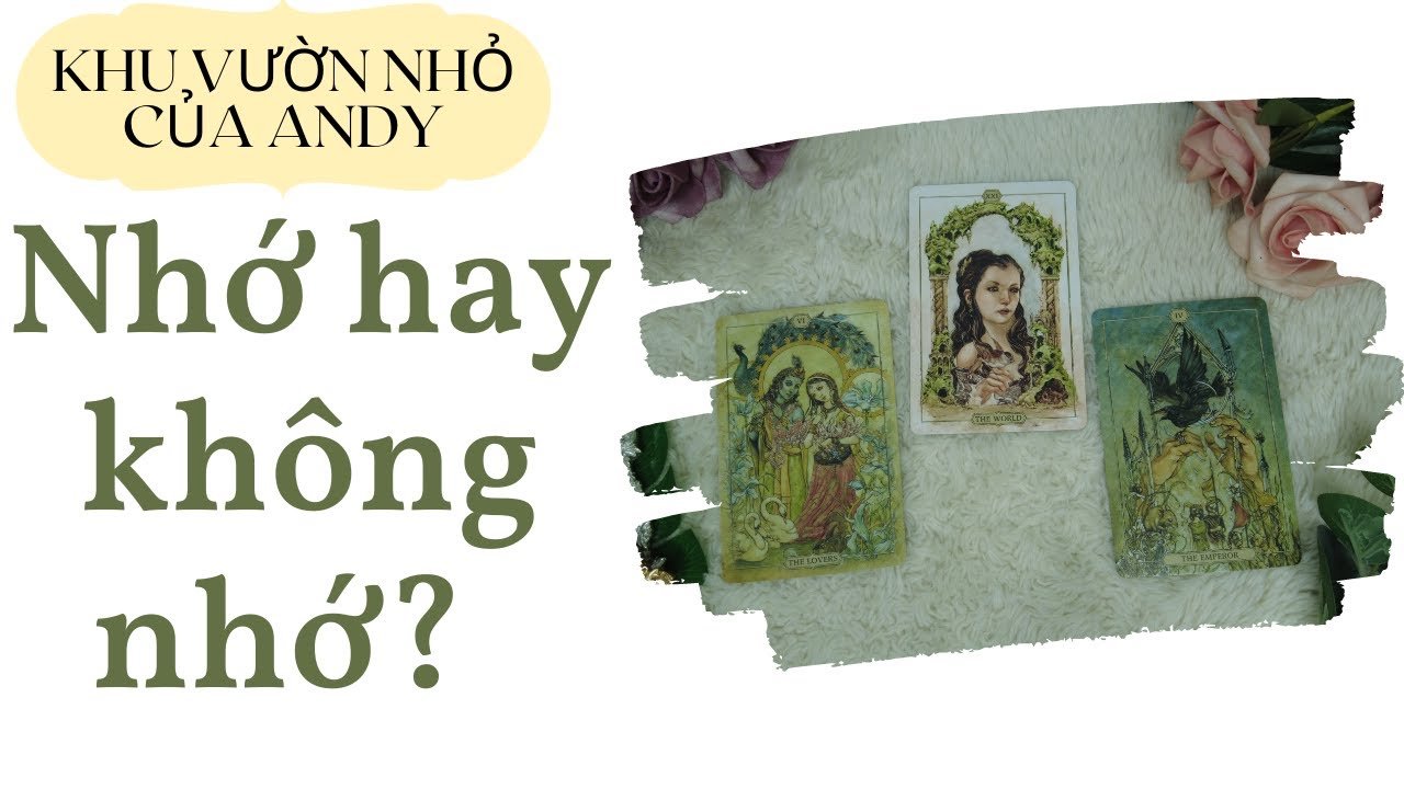 No momento, você está visualizando Chọn 1 tụ bài Tarot – Nhớ hay không nhớ – Alo Andy