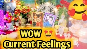 Leia mais sobre o artigo Current Feelings Next Action With Angel Guidance 🌹❤🌹 All Signs Collective Timeless Tarot Reading