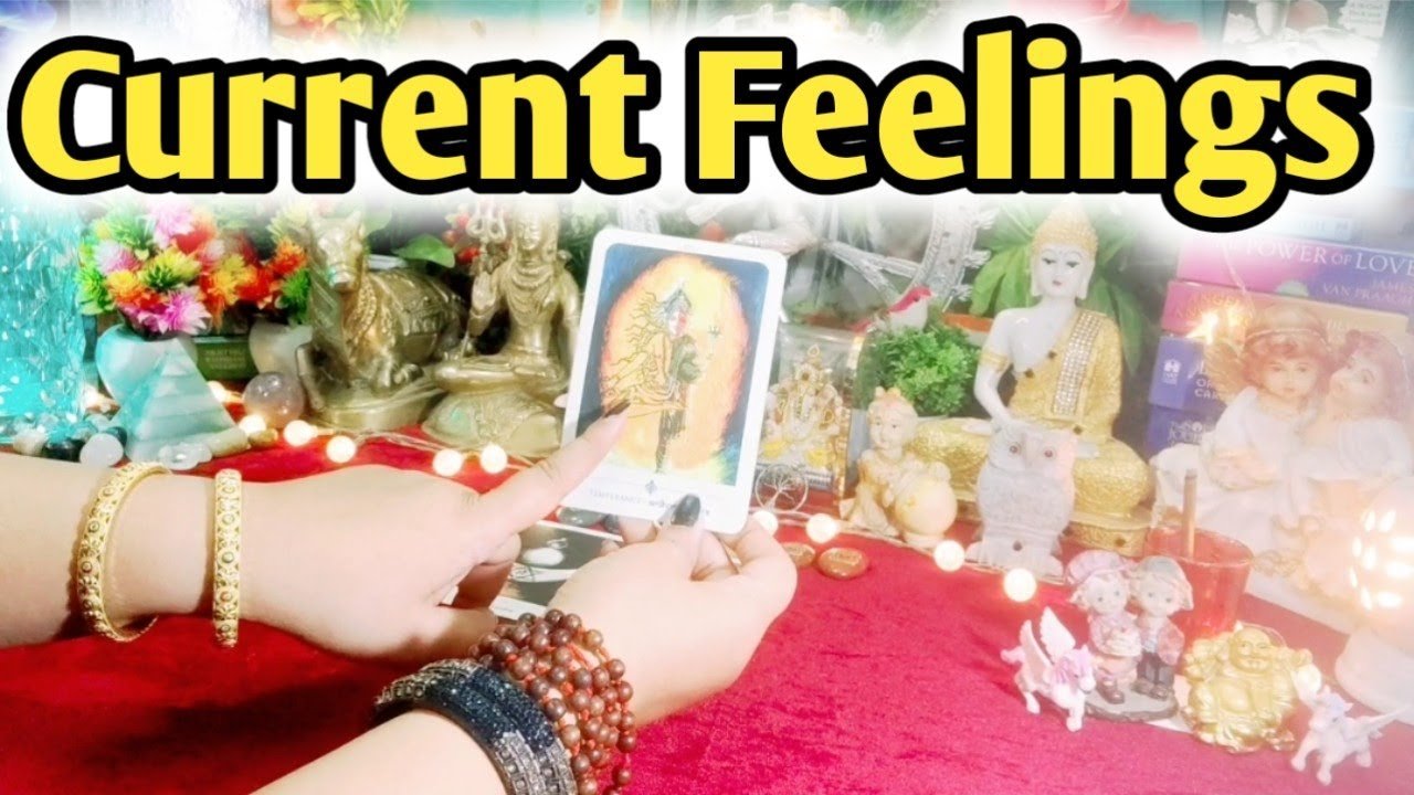 No momento, você está visualizando Current Feelings Next Action With Angel Guidance 💞🌹💞 All Signs Collective Timeless Tarot Reading