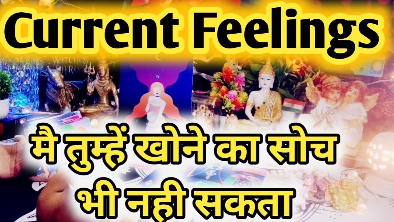 Leia mais sobre o artigo Current Feelings Next Action With Angel Guidance 💞🌹💞 All Signs Collective Timeless Tarot Reading ✨🌹