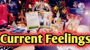 Leia mais sobre o artigo Current Feelings Next Action With Angel Guidance ❤💐 All Signs Collective Timeless Tarot Reading 🌈