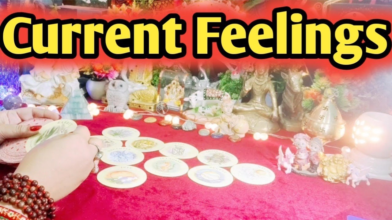 Leia mais sobre o artigo Current Feelings Next Action With Angel Guidance 💞🌹💞 All Signs Collective Timeless Tarot Reading
