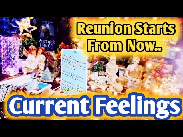 Leia mais sobre o artigo Current Feelings Next Action With Angel Guidance 💐🥰💐 All Signs Collective Timeless Tarot Reading