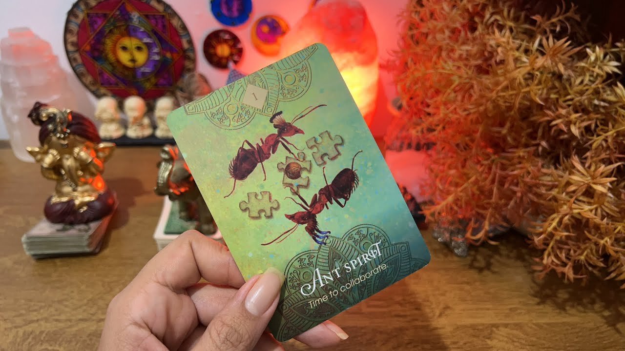 No momento, você está visualizando ISSO vai ACONTECER muito RÁPIDO com VC😱👊🏼✨