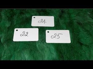 Leia mais sobre o artigo KẾT QUẢ VÀ LỜI KHUYÊN CHO QUYẾT ĐỊNH CỦA BẠN VỀ SỰ NGHIỆP ?  @EvelynTarot