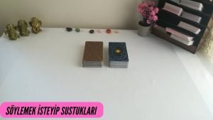 Leia mais sobre o artigo Söylemek İsteyip Sustukları🤐❣️Tarot