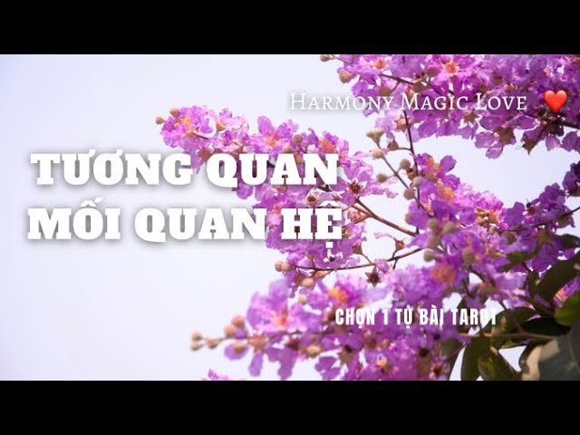 No momento, você está visualizando #Tarot ❤️ TƯƠNG QUAN MỐI QUAN HỆ NÀY ĐANG RA SAO #harmonymagiclove #timeless #thôngđiệptìnhyêu