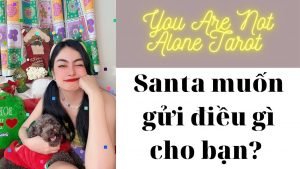 Leia mais sobre o artigo ✨✨Tarot: Santa muốn gửi điều gì cho bạn? You Are Not Alone Tarot