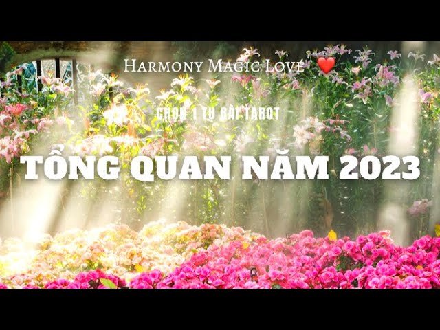 Leia mais sobre o artigo #Tarot 🌸TỔNG QUAN NĂM 2023 😊 #thôngđiệpvũtrụ #tarotreading #harmonymagiclove