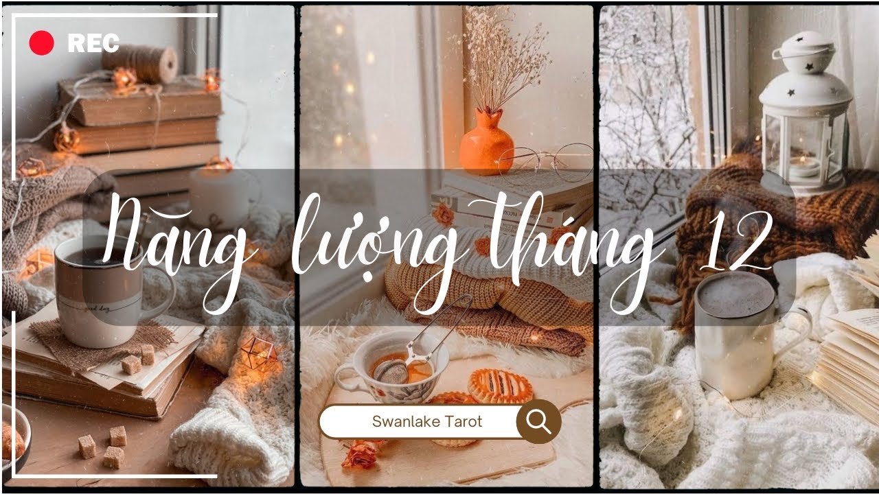 No momento, você está visualizando Tổng quan năng lượng tháng 12 || Swanlake Tarot