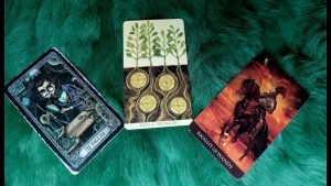 Leia mais sobre o artigo YÊU AI BẠN SẼ CÓ CÁI KẾT VIÊN MÃN ?@EvelynTarot