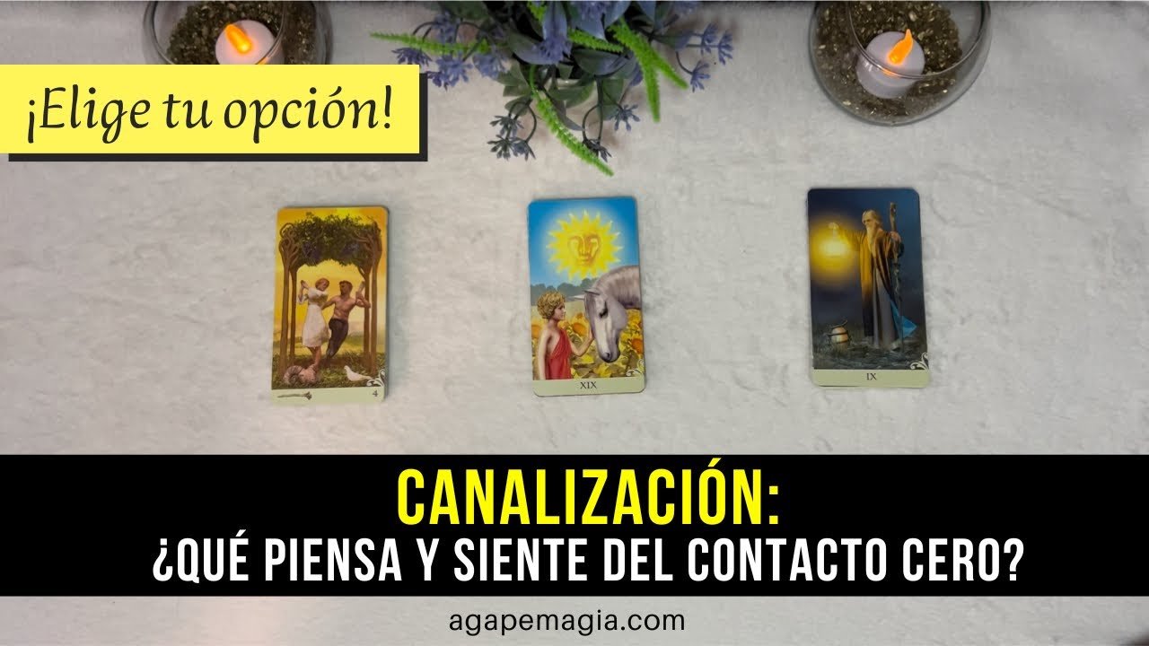 Leia mais sobre o artigo 🗣️ CANALIZACIÓN: Lo que piensa y siente del contacto cero 💞 TAROT INTERACTIVO