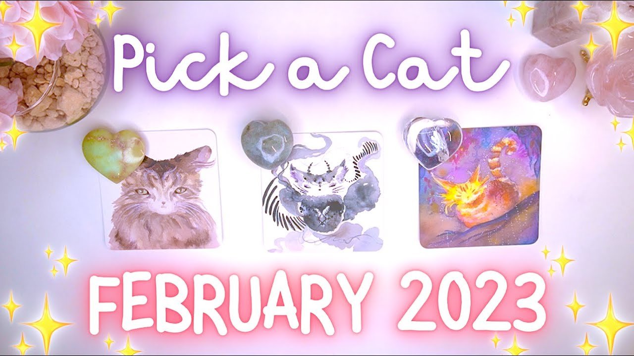 Leia mais sobre o artigo 💖🔮 FEBRUARY 2023 Messages & Predictions 🔮💖 Detailed Pick a Card Tarot Reading ✨