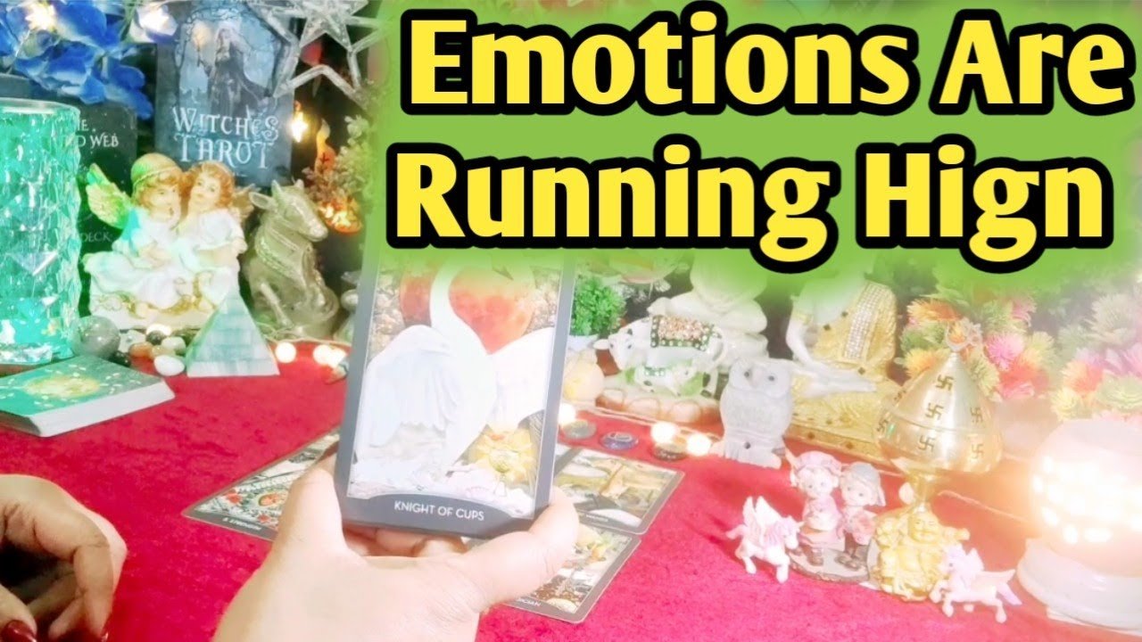 Leia mais sobre o artigo Aap Dono Ki Aaj Ki Energy 💞💐💞 All Signs Collective Timeless Tarot Reading