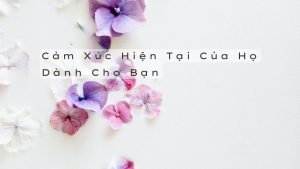 Leia mais sobre o artigo Cảm Xúc Hiện Tại Của Họ Dành Cho Bạn | Tarot + Lenormand [Tình Yêu]