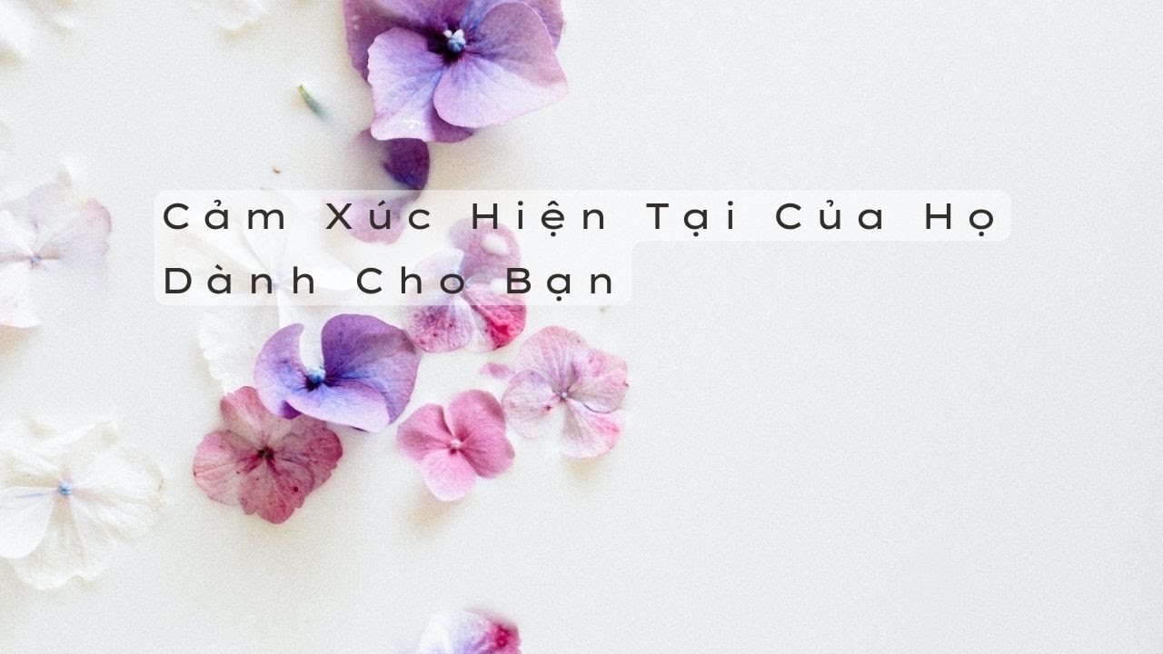 Leia mais sobre o artigo Cảm Xúc Hiện Tại Của Họ Dành Cho Bạn | Tarot + Lenormand [Tình Yêu]