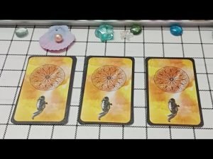 Leia mais sobre o artigo Cảm Xúc Họ Dành Cho Bạn Lúc Này – Lâm Sao Channel