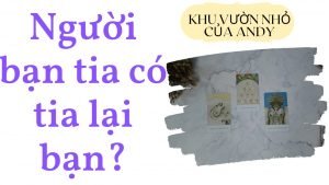 Leia mais sobre o artigo Chọn 1 tụ bài Tarot – Người bạn tia có tia lại bạn? – Alo Andy