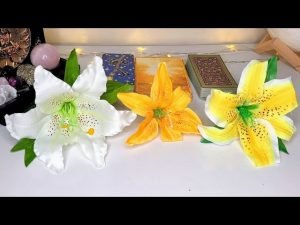 Leia mais sobre o artigo CONTE 7 DIAS 👀 ISSO VAI ACONTECER COM VOCÊ 💖💌💫💬