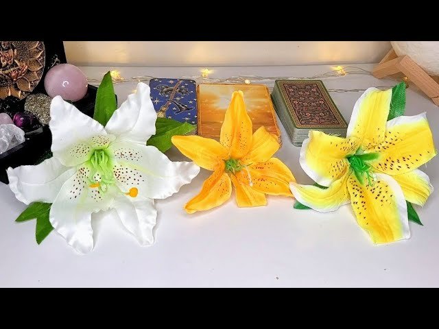 No momento, você está visualizando CONTE 7 DIAS 👀 ISSO VAI ACONTECER COM VOCÊ 💖💌💫💬