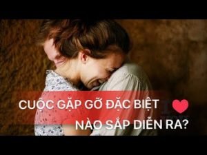 Leia mais sobre o artigo CUỘC HỘI NGỘ ĐẶC BIỆT NÀO SẮP DIỄN RA? | Blue Sky Healing Tarot