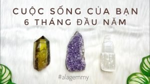 Leia mais sobre o artigo CUỘC SỐNG CỦA BẠN 6 THÁNG ĐẦU NĂM SẼ THẾ NÀO? ✨💎Tarot 2023🥂