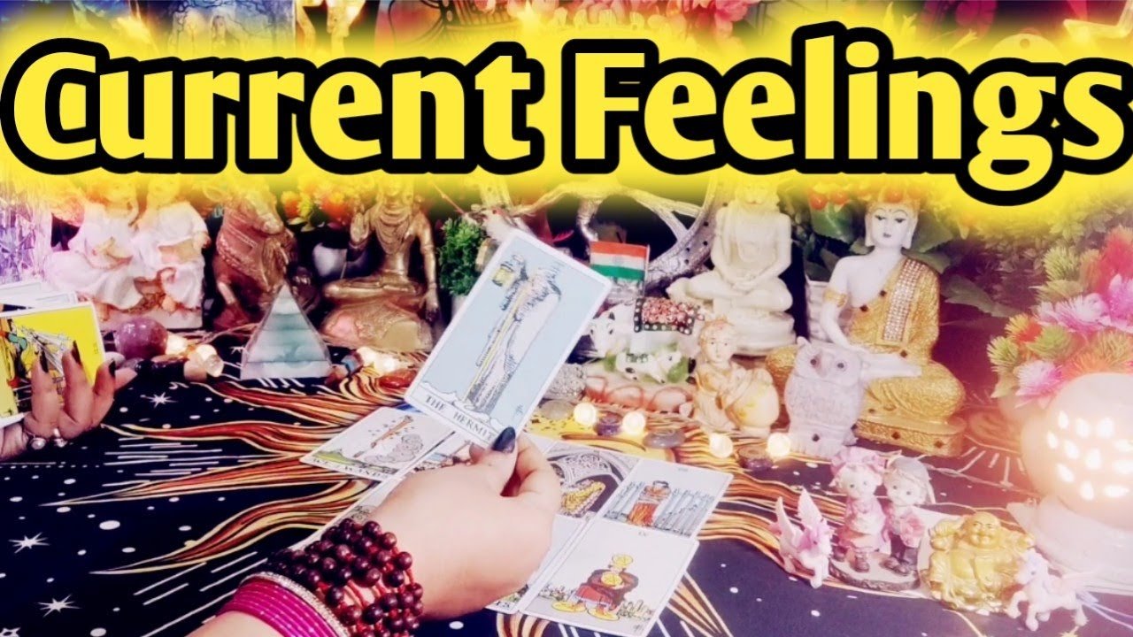 No momento, você está visualizando Current Feelings Next Action ✨🥰 All Signs Collective Timeless Tarot Reading