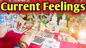 Leia mais sobre o artigo Current Feelings Next Action With Angel Guidance ❤💚 All Signs Collective Timeless Tarot