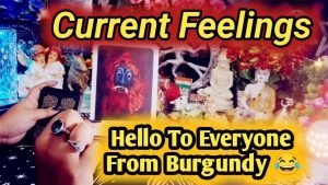 Leia mais sobre o artigo Current Feelings Next Action With Angel Guidance ✨💚✨ All Signs Collective Timeless Tarot Reading