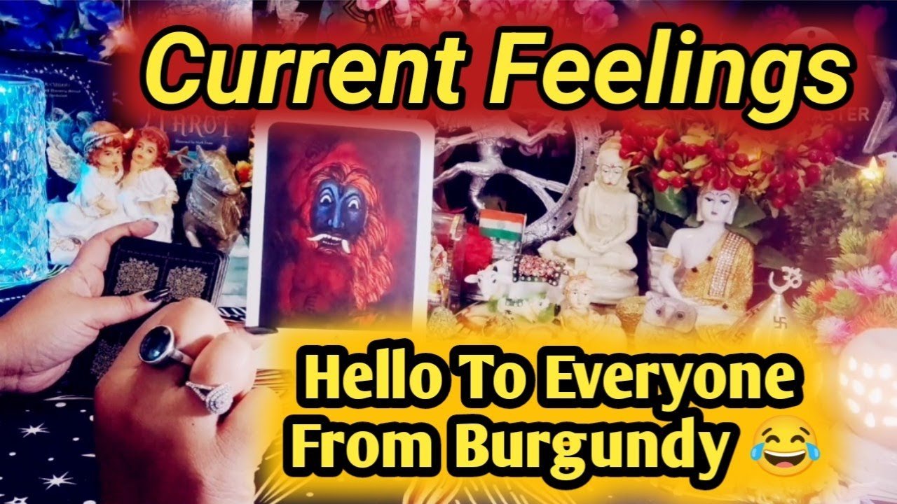 Leia mais sobre o artigo Current Feelings Next Action With Angel Guidance ✨💚✨ All Signs Collective Timeless Tarot Reading