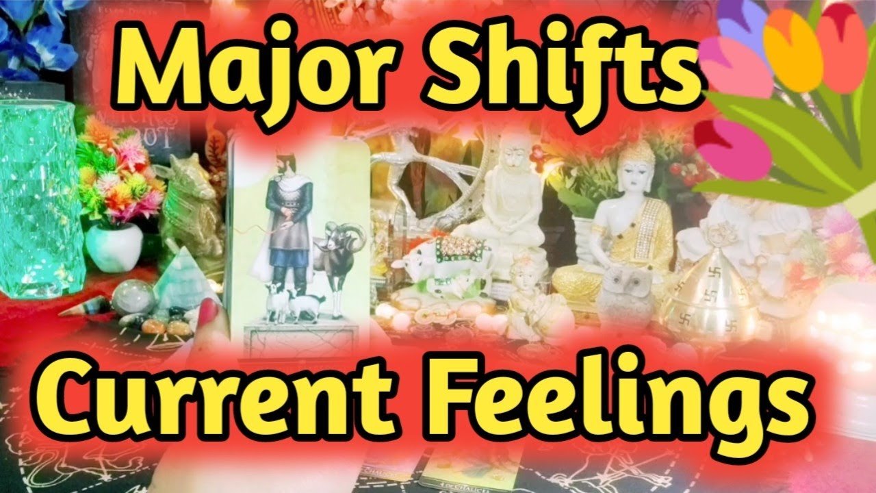 No momento, você está visualizando Current Feelings Next Action With Angel Guidance ❤💚 All Signs Collective Timeless Tarot Reading